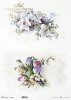 wiosenne kwiaty, tulipan, storczyk*spring flowers, tulip, orchid*Frühlingsblumen, Tulpe, Orchidee*flores de primavera, tulipán, orquídea